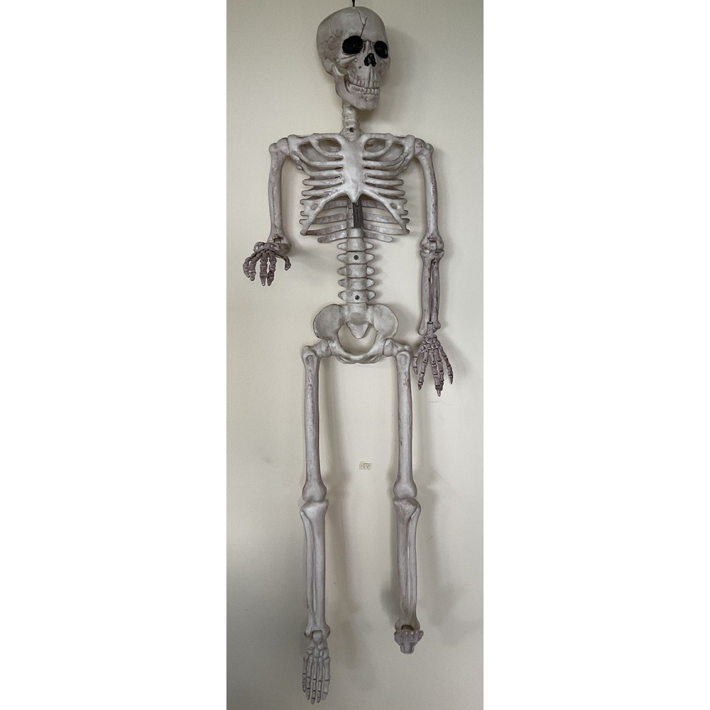 Skeleton Party Tall Articulating Prop Halloween Decor  Bones Horror Scary NWT